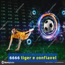 6666 tiger e confiavel